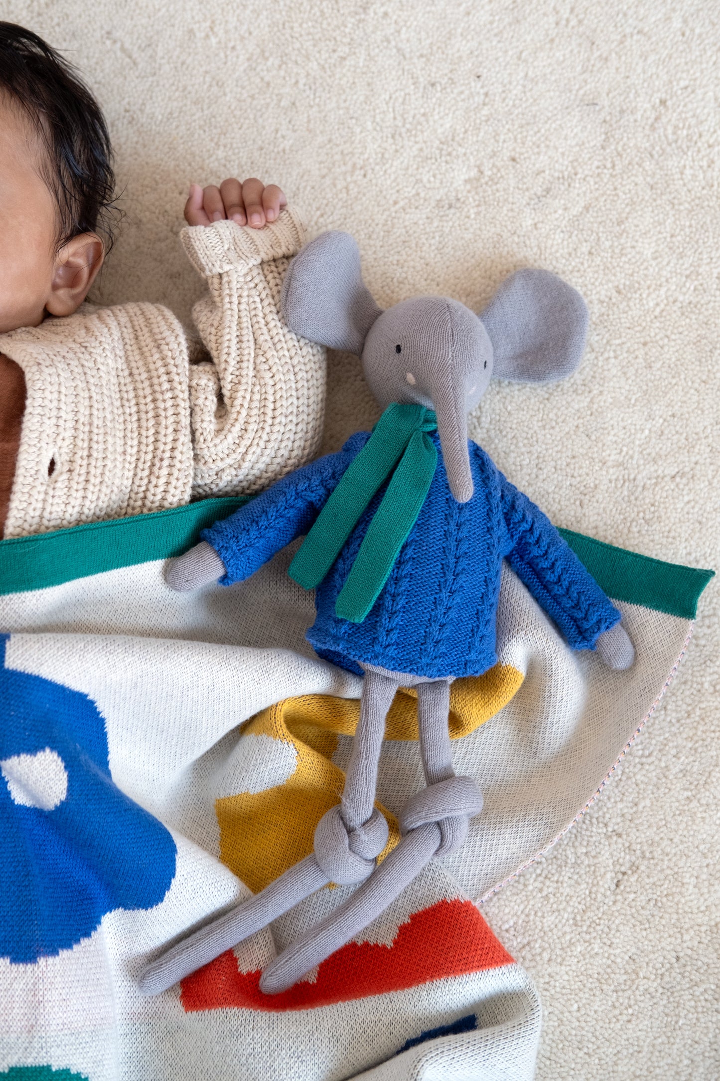 Elephant Ragdoll: Cobalt